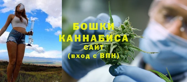 spice Аркадак