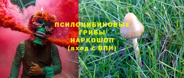 крисы Арсеньев
