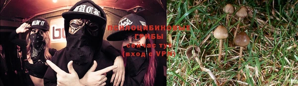 ALPHA-PVP Армянск