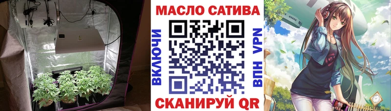 где найти   Олонец  ТГК THC oil 