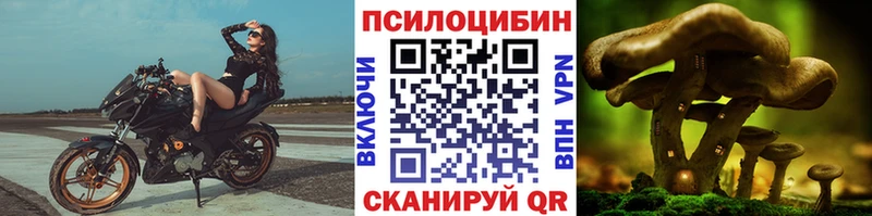 площадка Telegram  где продают   ОМГ ОМГ вход  Олонец  Галлюциногенные грибы MAGIC MUSHROOMS 